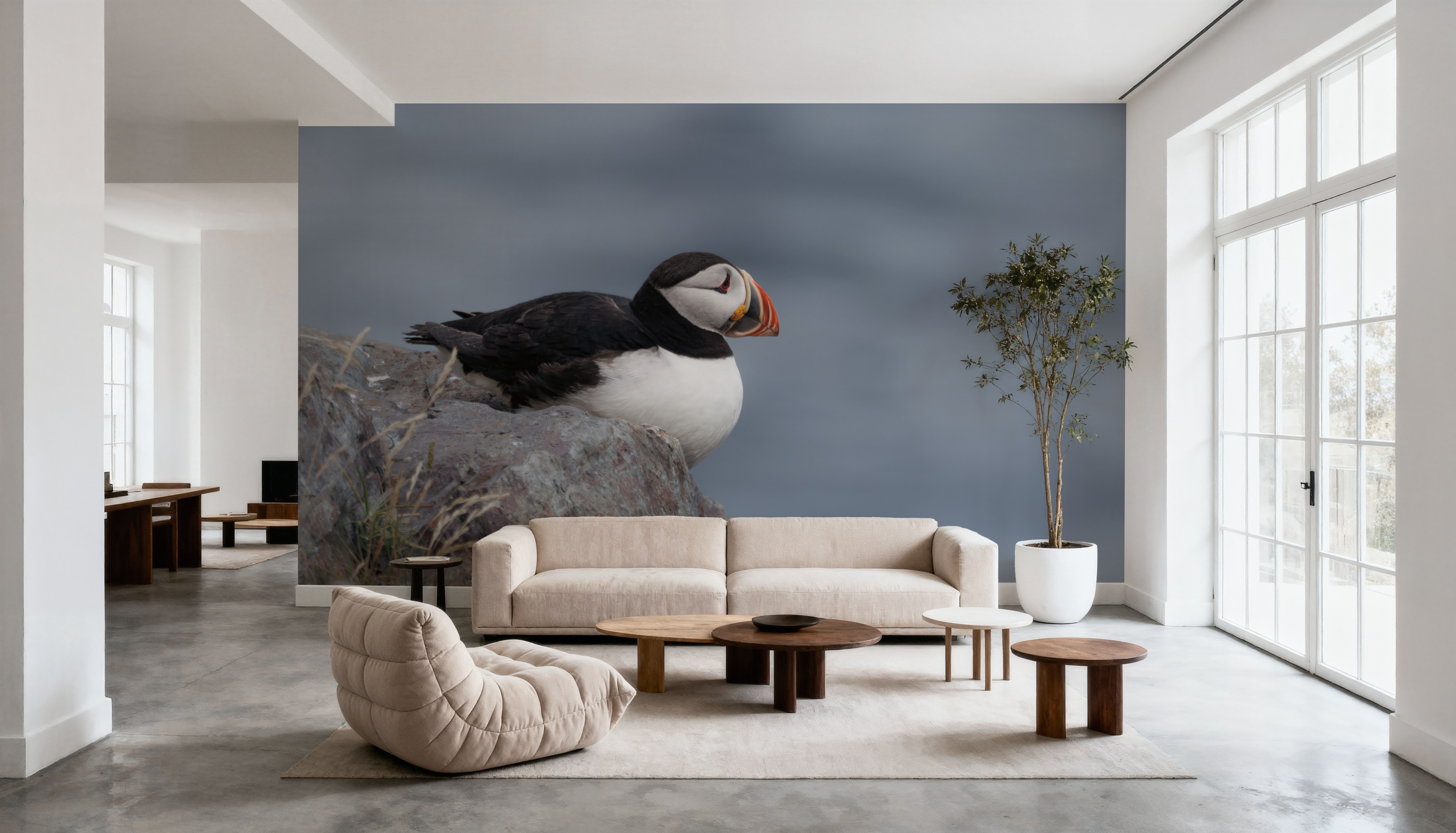 Atlantic Puffin Resting