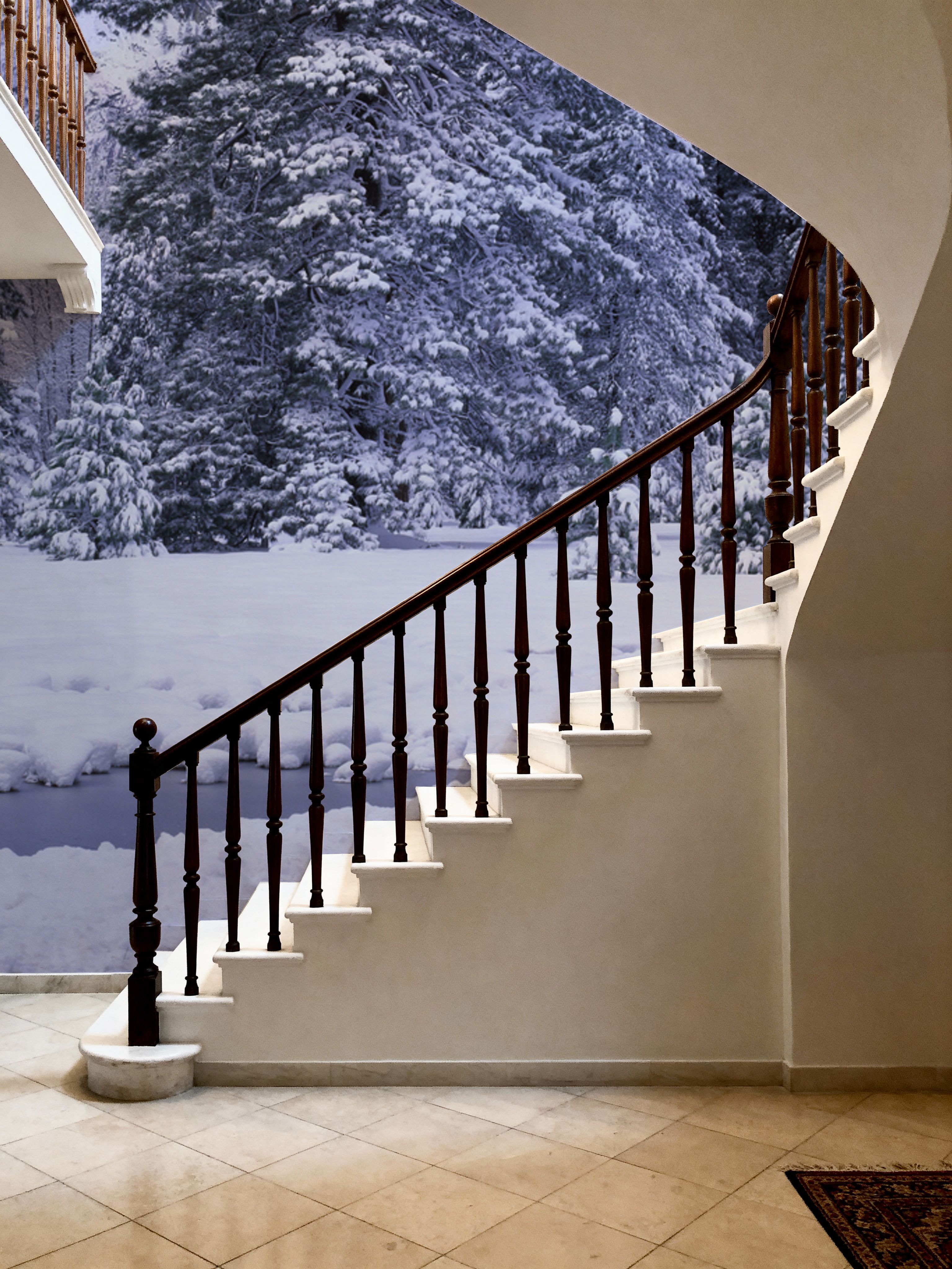 Winter Forest Junction