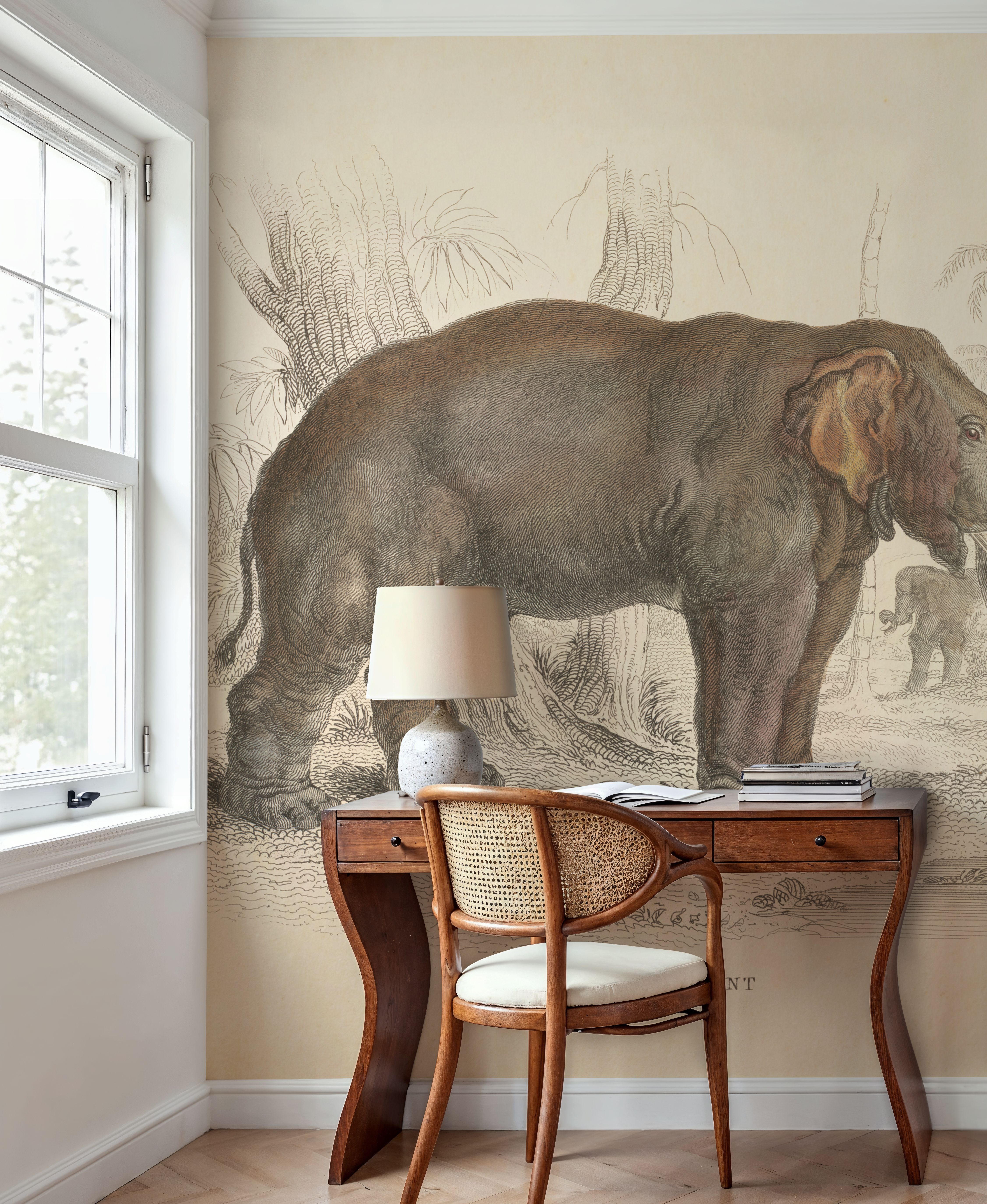 Animals of Africa III