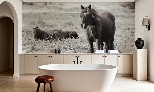 Dartmoor Ponies I