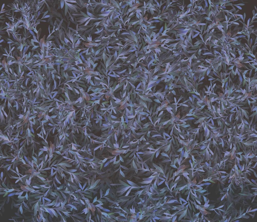 Lush Canopy Ceiling, Midnight