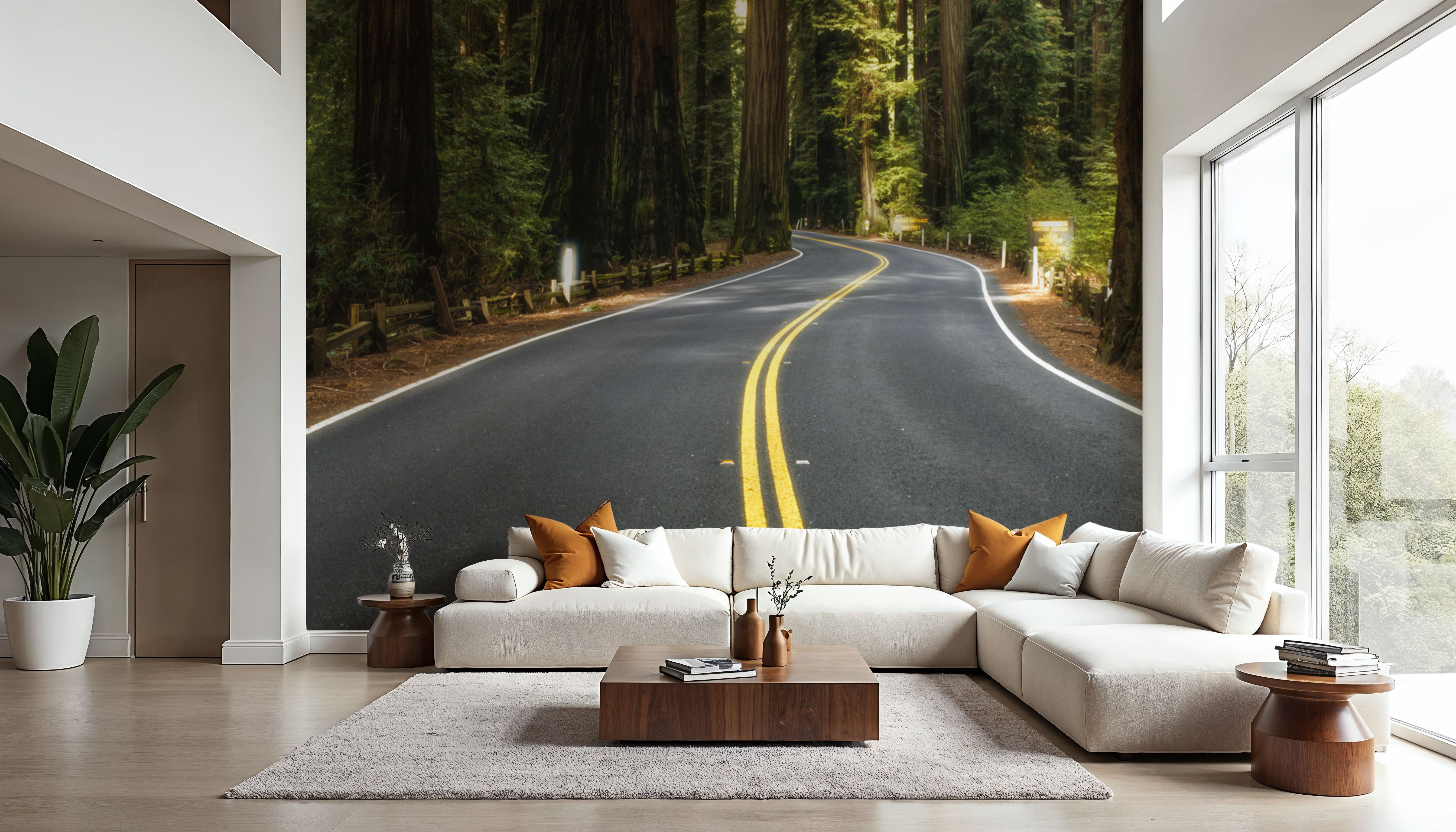 Redwood Odyssey