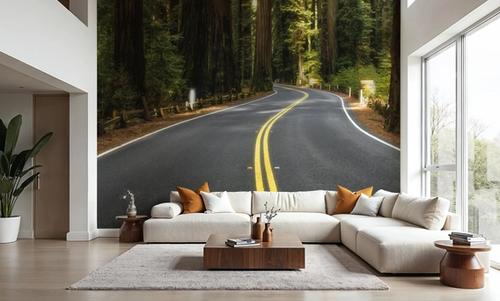 Redwood Odyssey