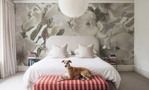 Dreaming of Magnolias Light Green