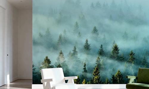 Morning Light and Fog