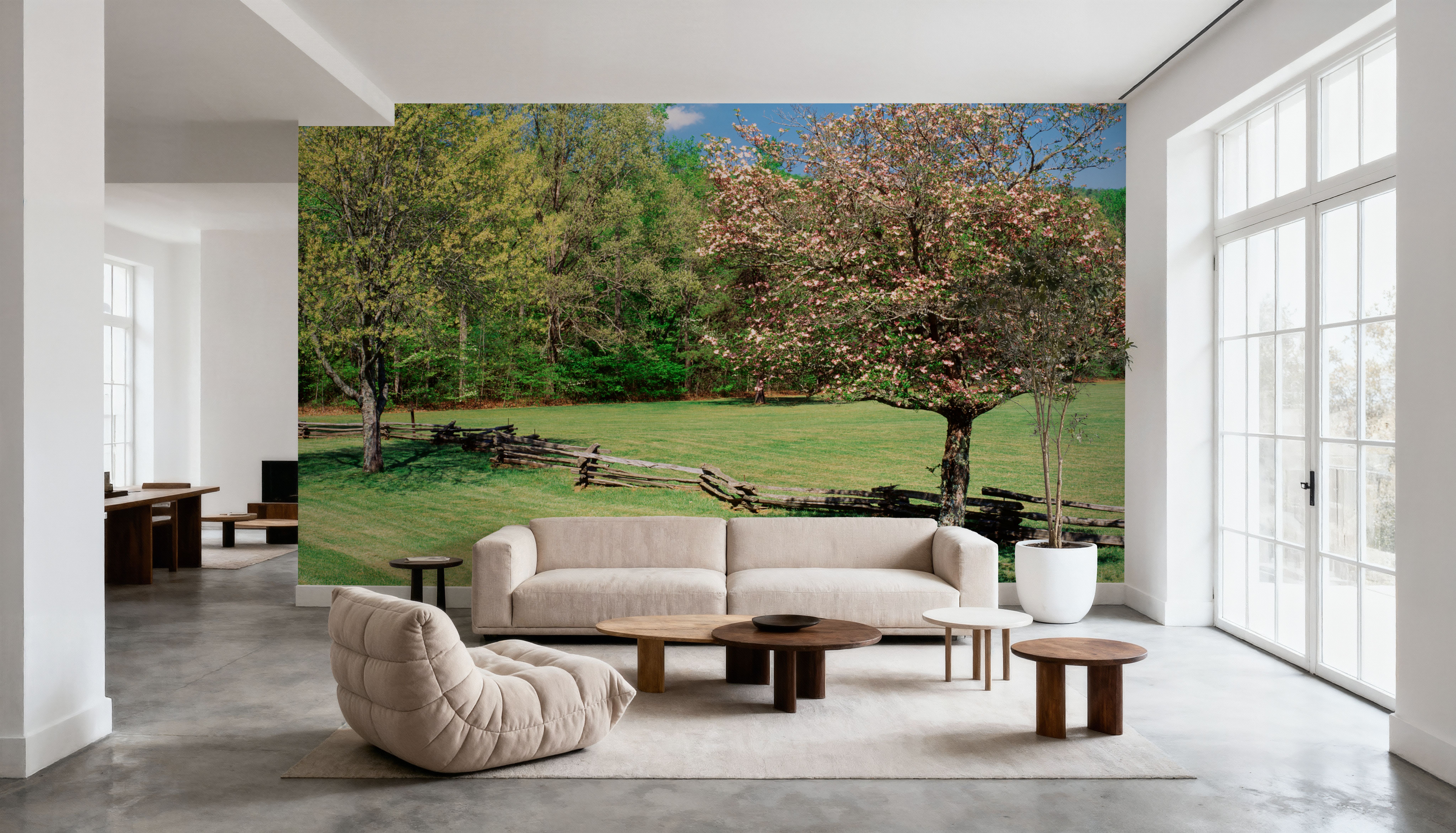 Pisgah National Forest