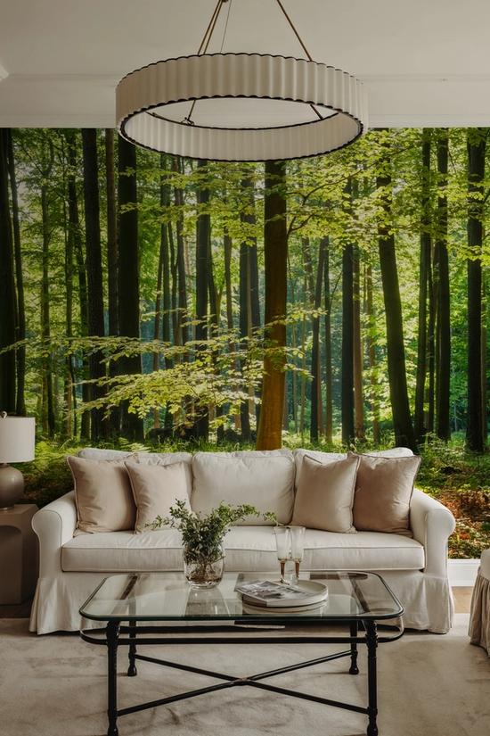 Deep Sunny Woods