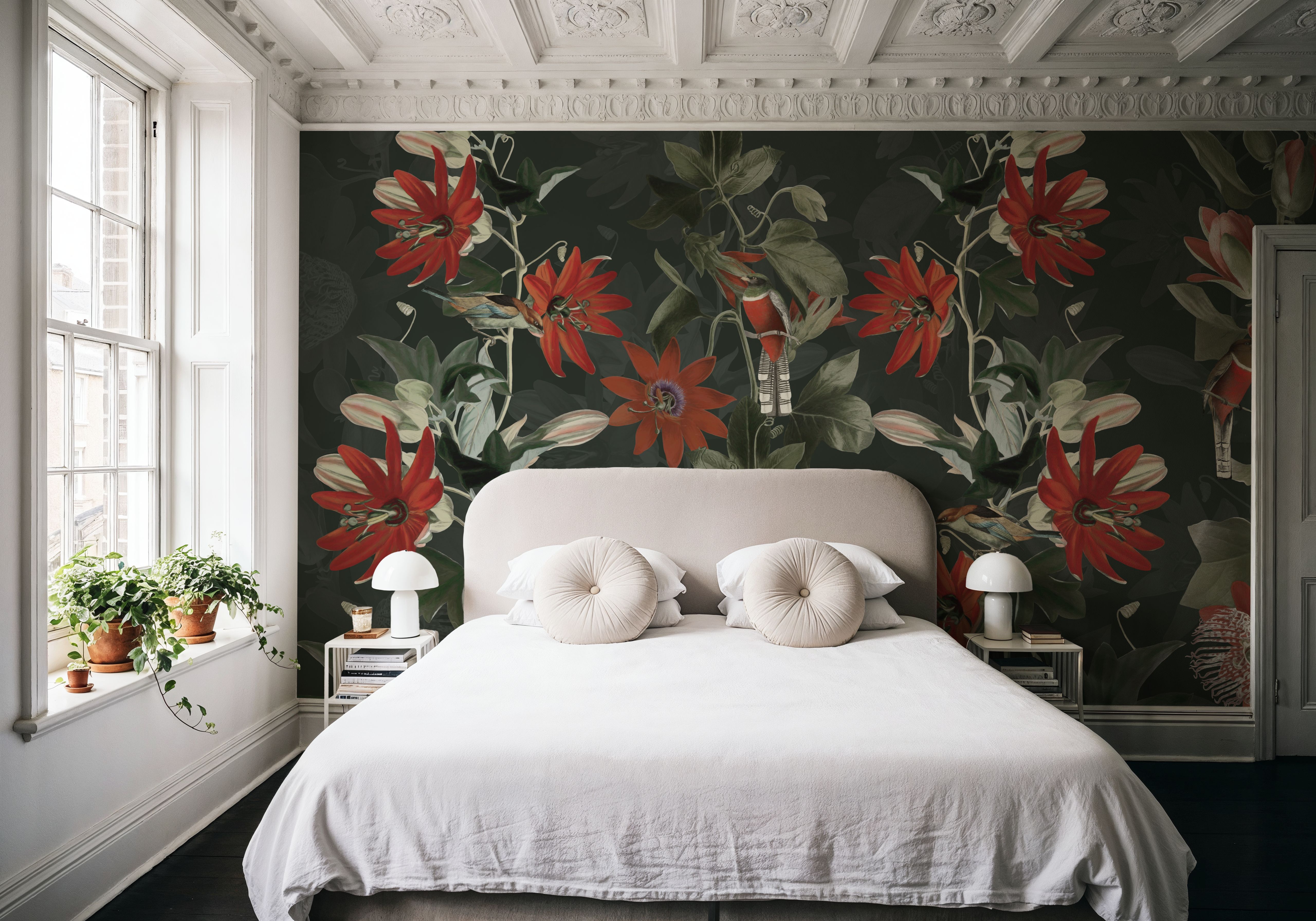 Contemporary Clematis 