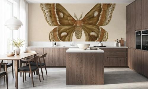 Spooky Halloween Moth I