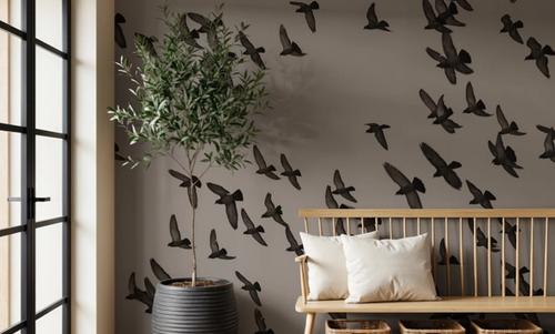 Flock II