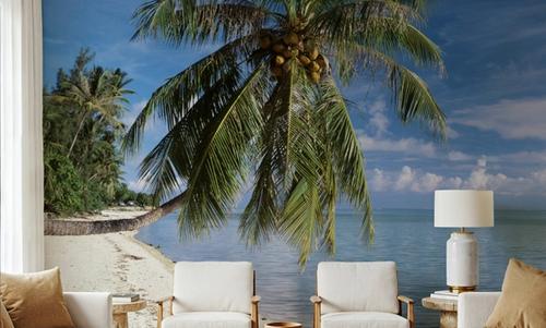 Tropical Beachside Haven