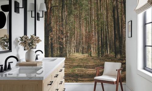 Alo ne in the Forest