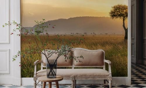 Acacia Sunset