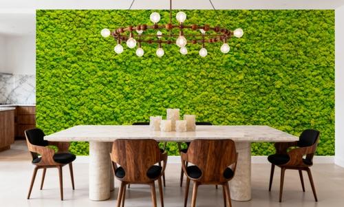 Moss Mat