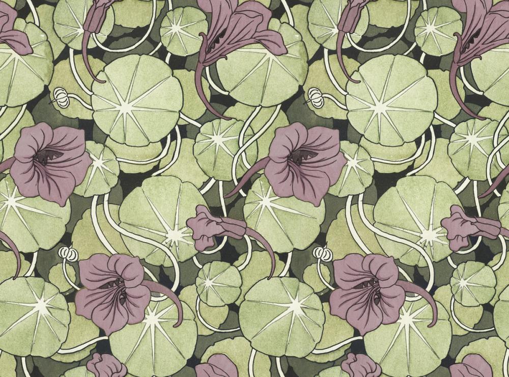 Nasturtium Verdure, Dusty Plum