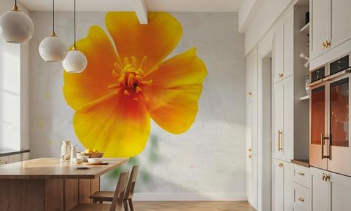 Wonderful Wildflowers V