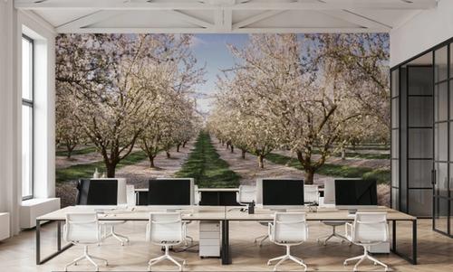 Blossoming Symmetry