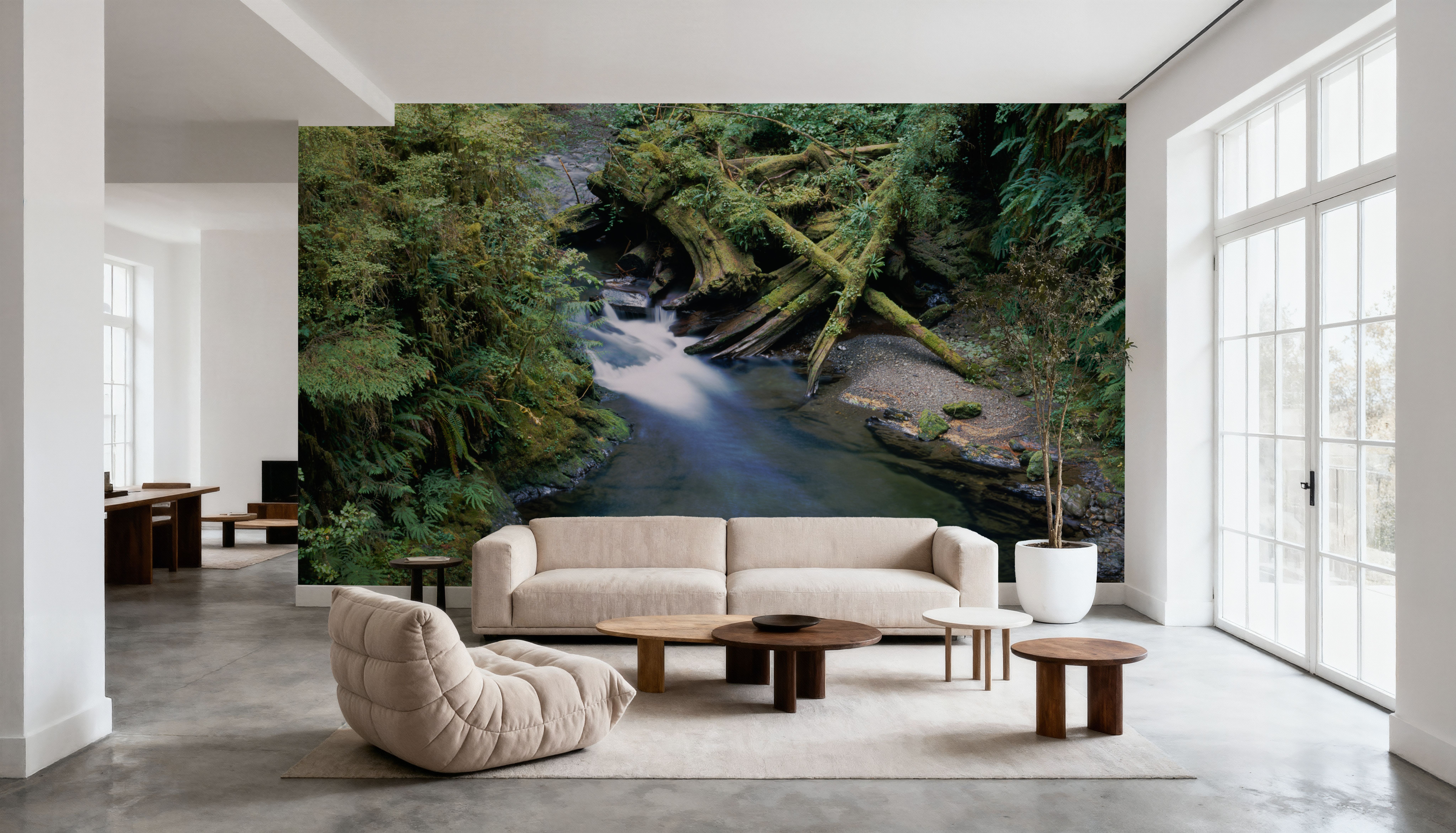Willaby Creek, Washington State