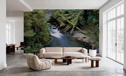 Willaby Creek, Washington State