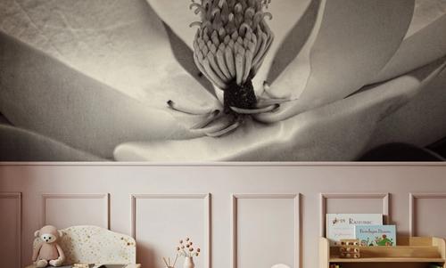 Moonlit Magnolia I