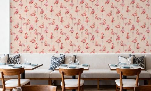 Flamingo Goals Coral