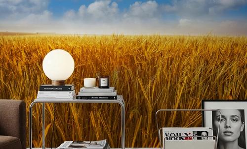 Amber Field Sky