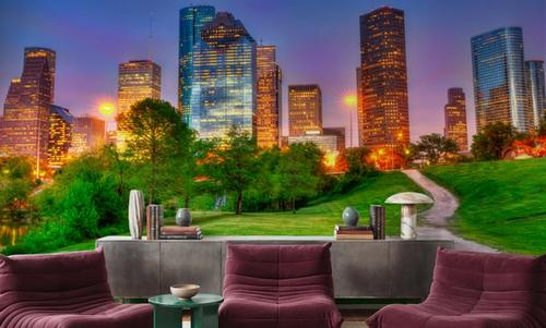 Lush Houston Sunset