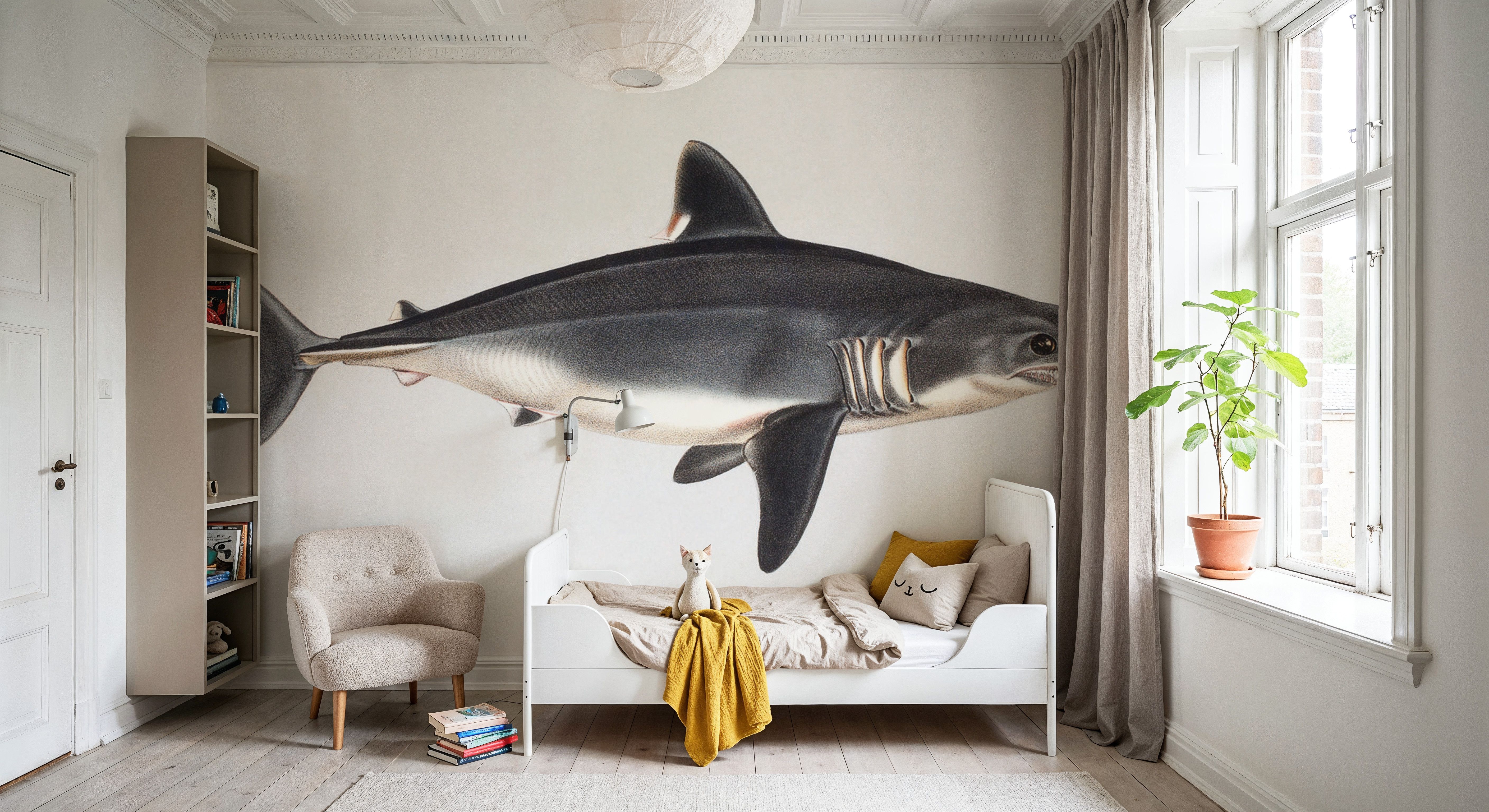Porbeagle