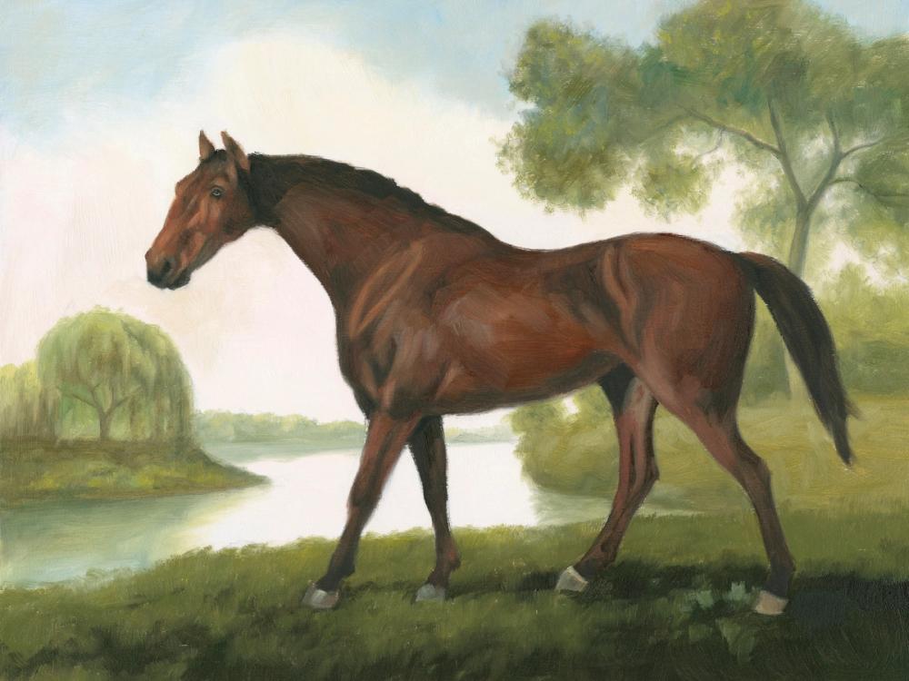 Vintage Horse Portrait II