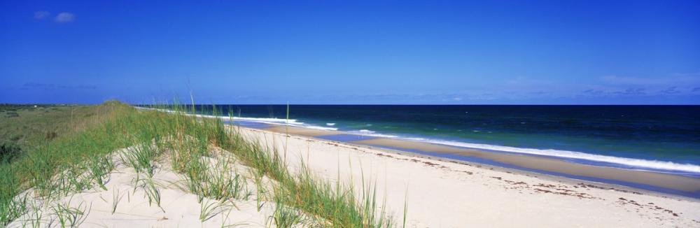 Coastal Dune Serenity