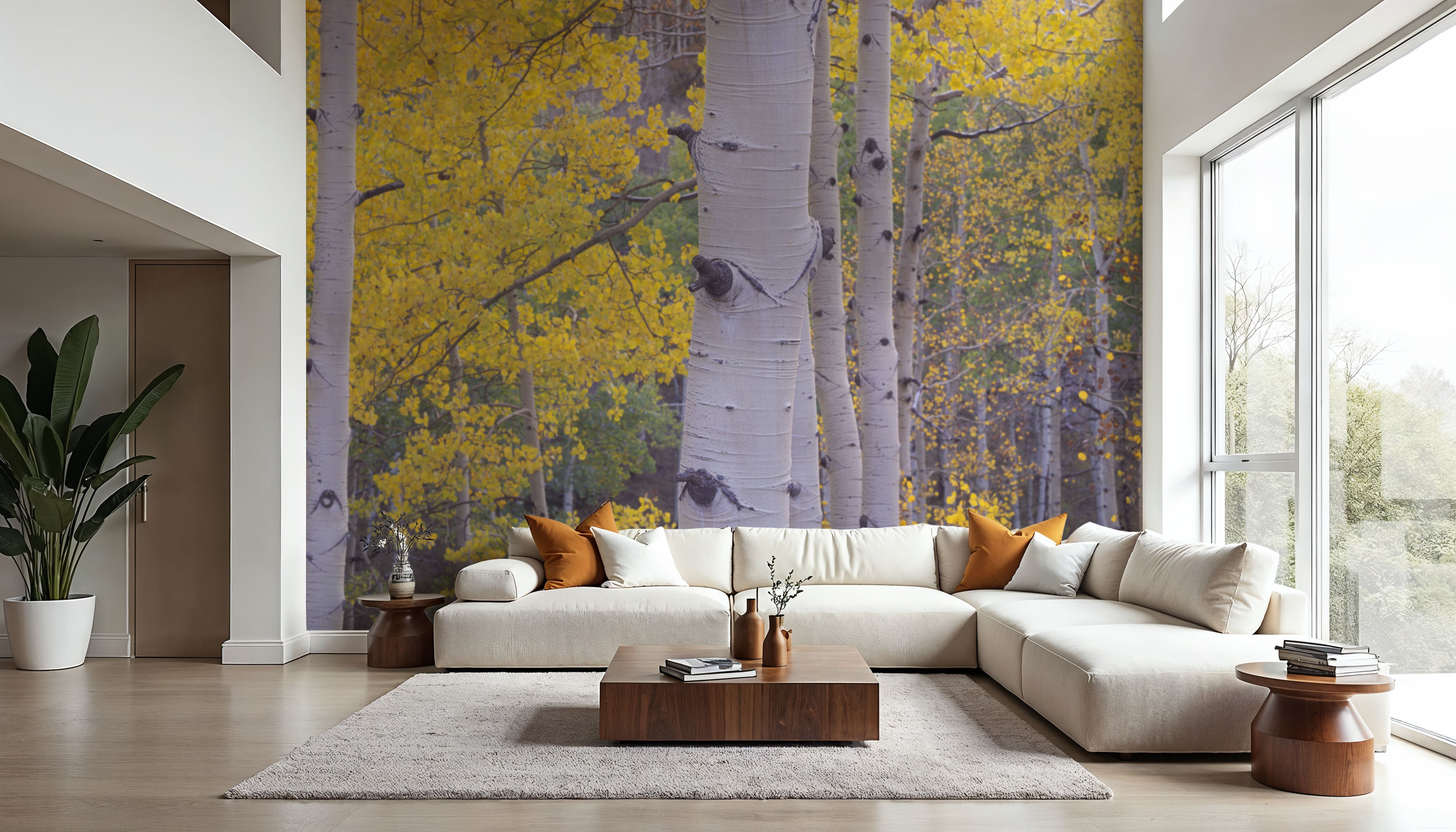 Golden Birch Forest