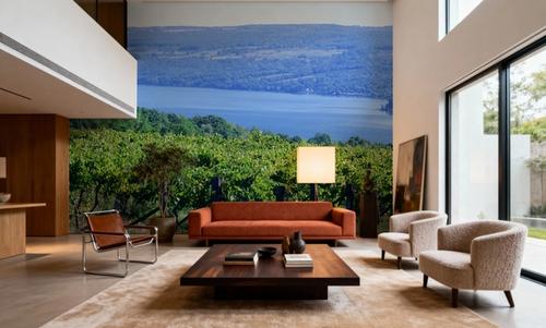 Vineyard Vista