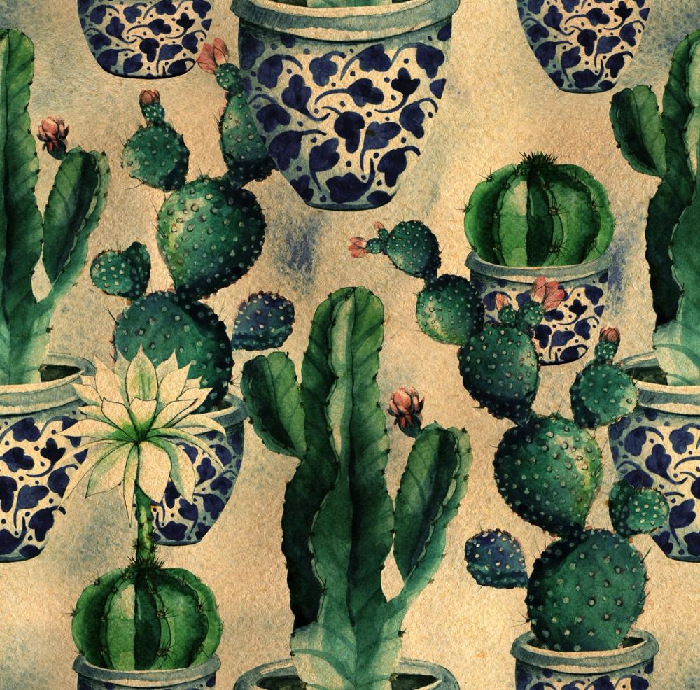 Ornate Cactus Garden