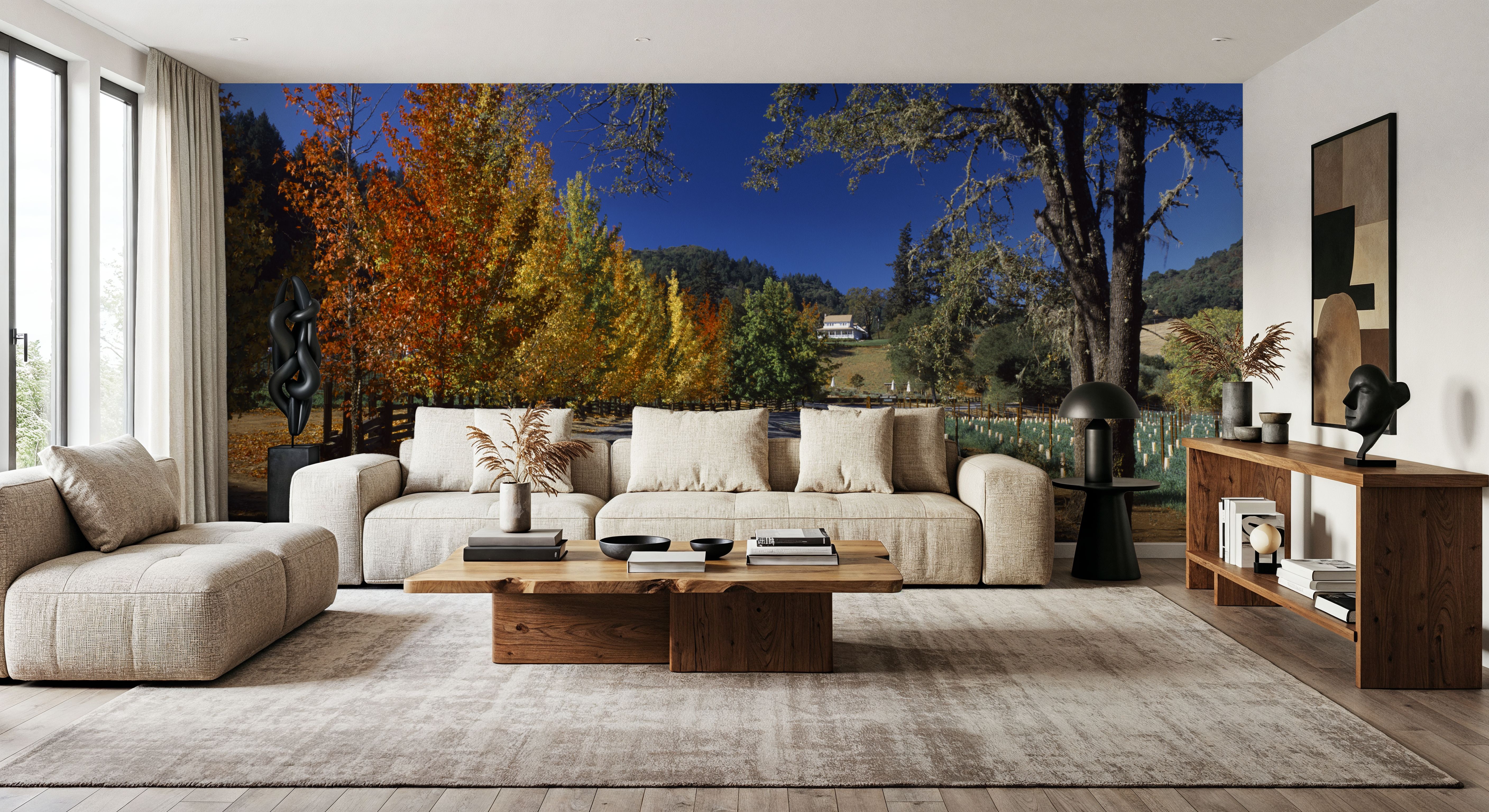 Autumn Vineyard Lane, Papier peint