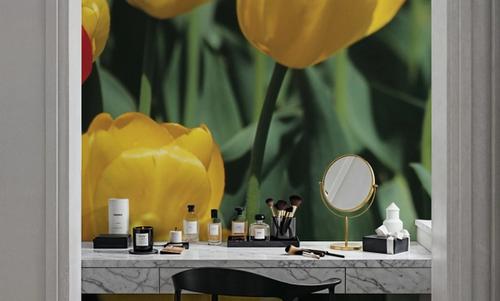 The Standout Tulip