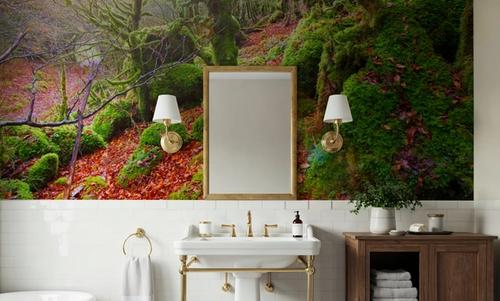 Pyrenees Moss I