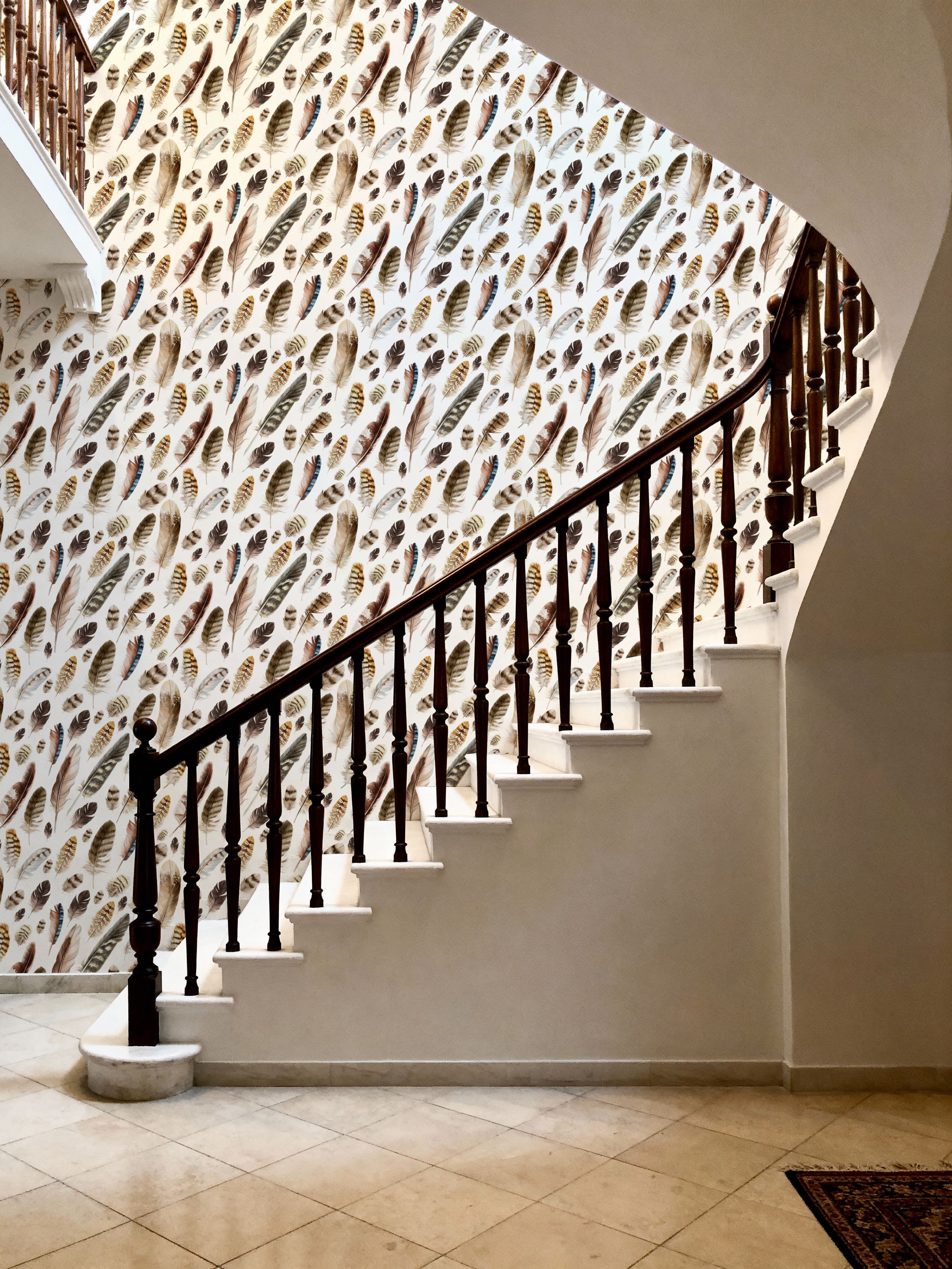 The Feather Collection