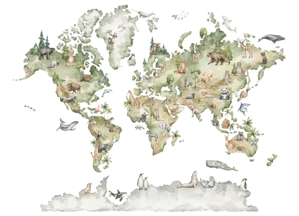 Animals From Around the World Map