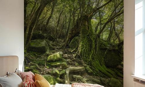 Moss Forest