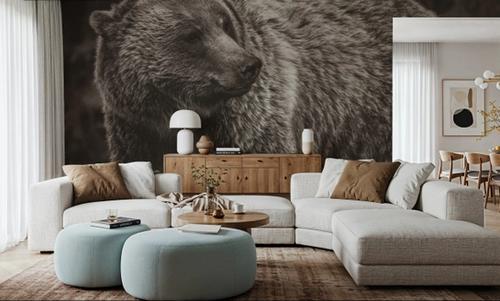 British Columbia Grizzly in a Field BW