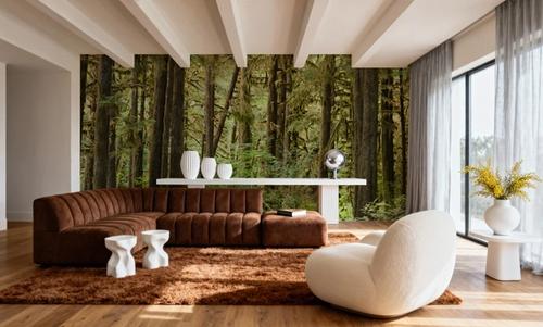Bright Quinault Rainforest