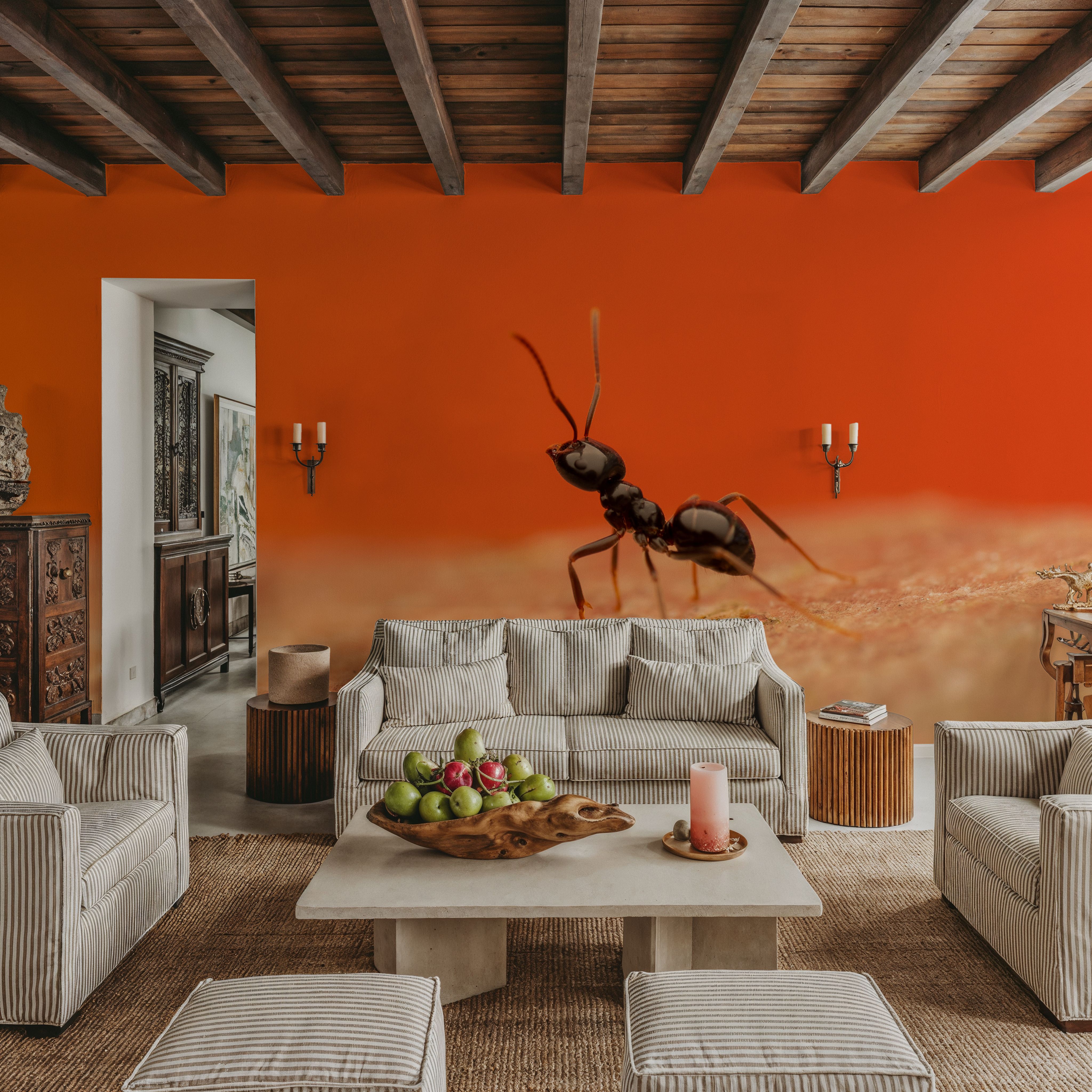 Ant Walk