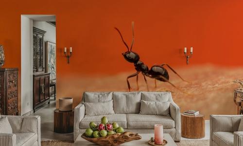 Ant Walk