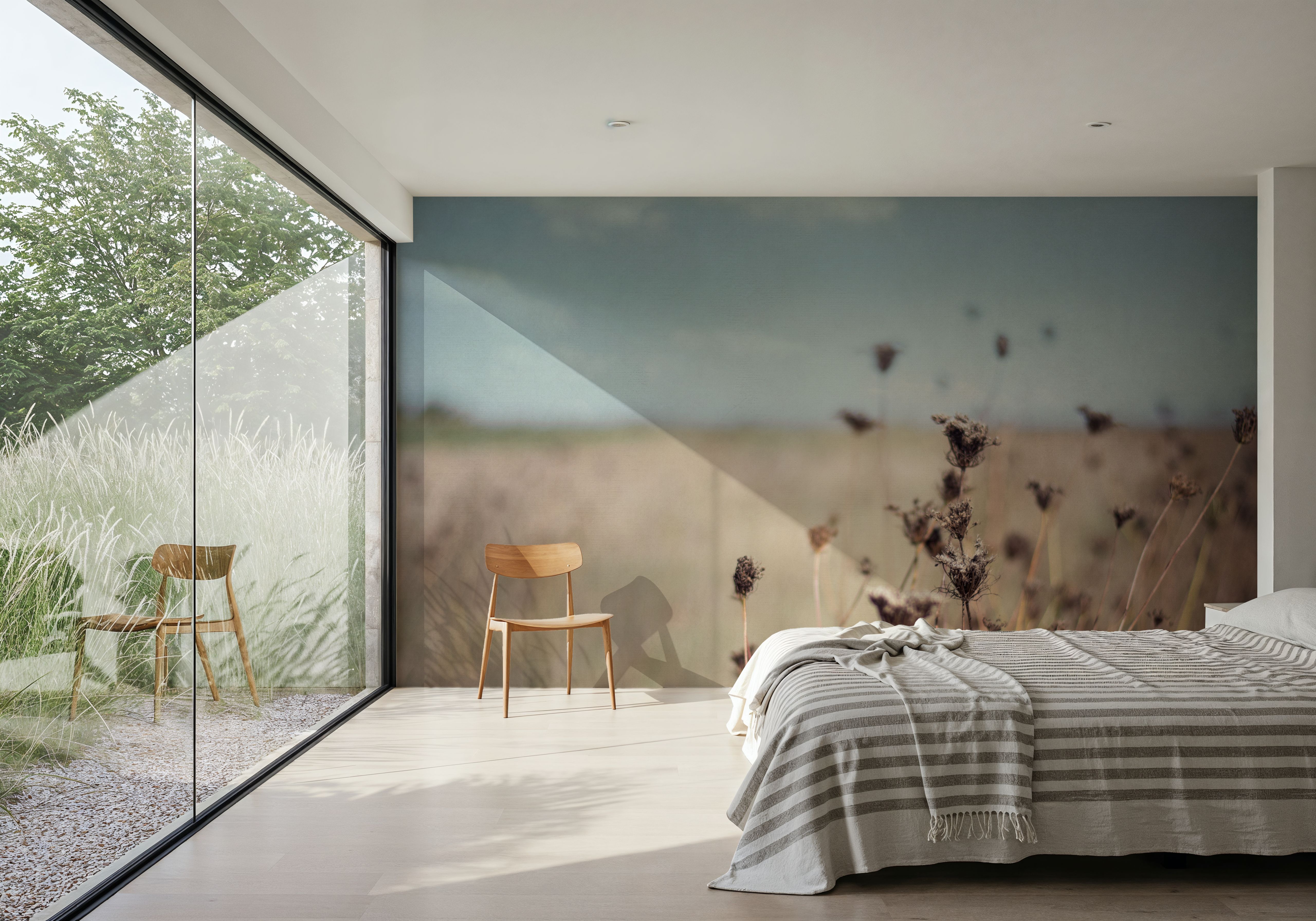 Falling Queen Annes Lace I