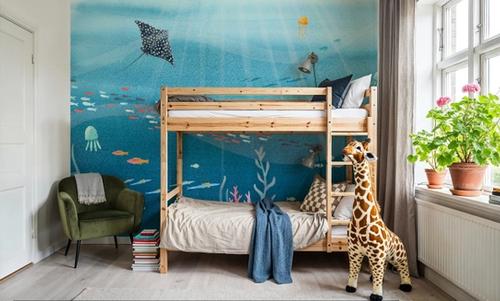 Underwater Sea Life Scenery