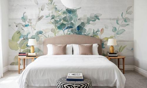 Eucalyptus I on Shiplap