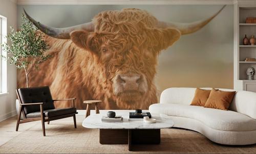 Highland Cow Pastures II