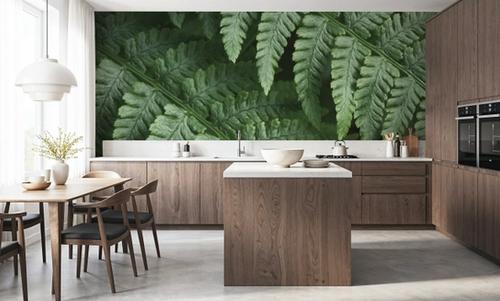 Fern Lines