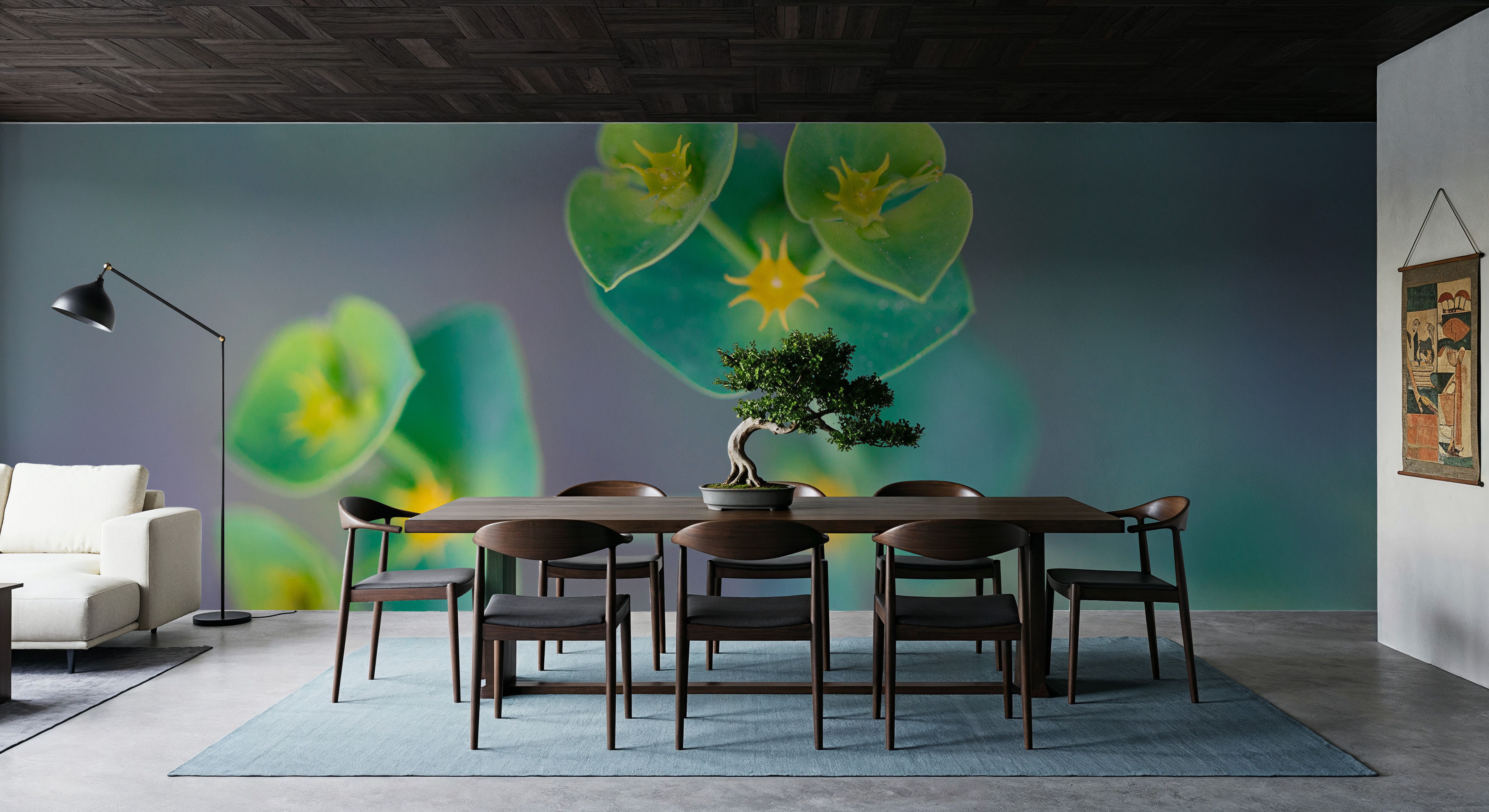 Euphorbia, Wallpaper