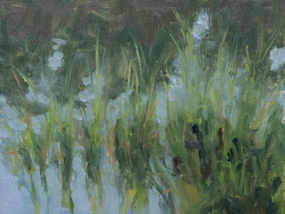 Marsh Reeds Reflecting